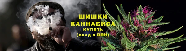 шишки Лихославль
