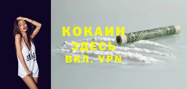 шишки Моршанск