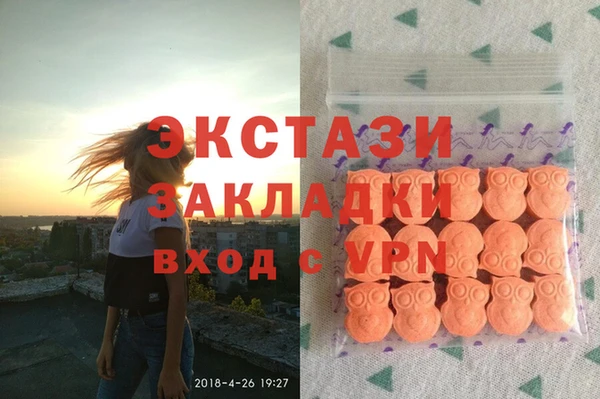 гидра Магас