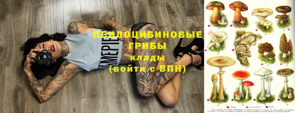 шишки Лихославль