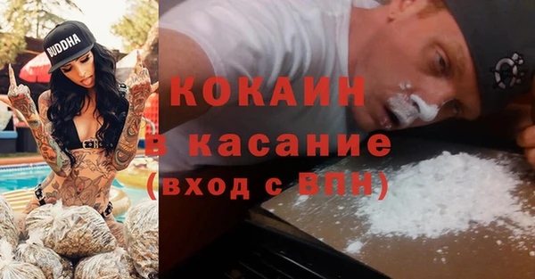 гидра Магас