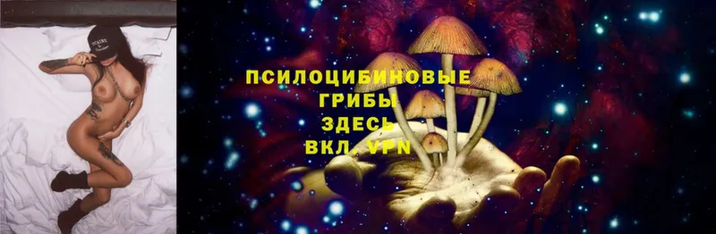 Галлюциногенные грибы Cubensis  Мамоново 